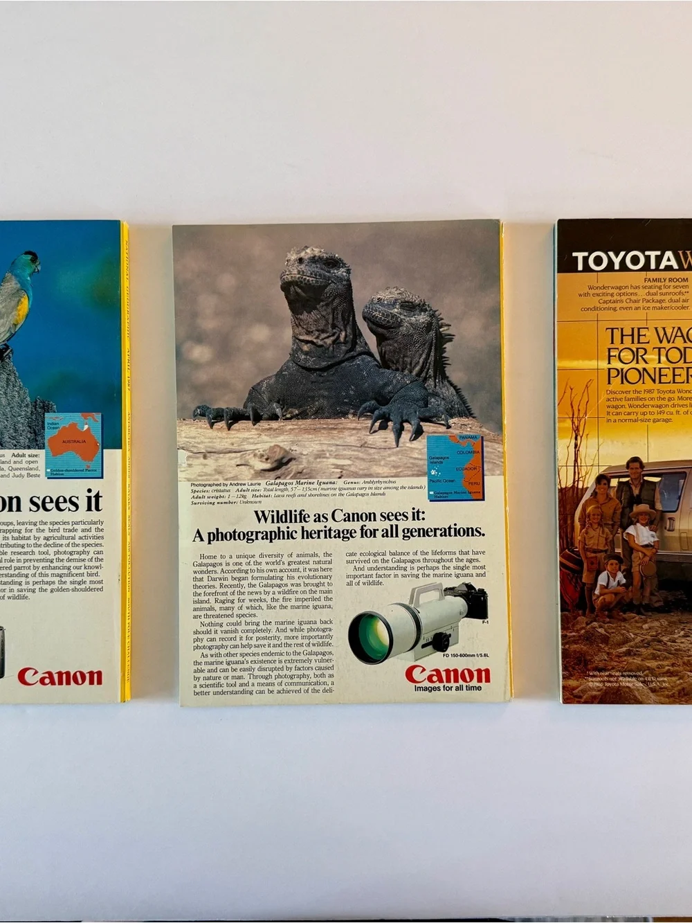 3 editions of National Geographic March 1987, April 1987 and October 1985 - Picture 2 of 5